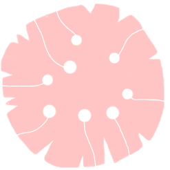 回転する花