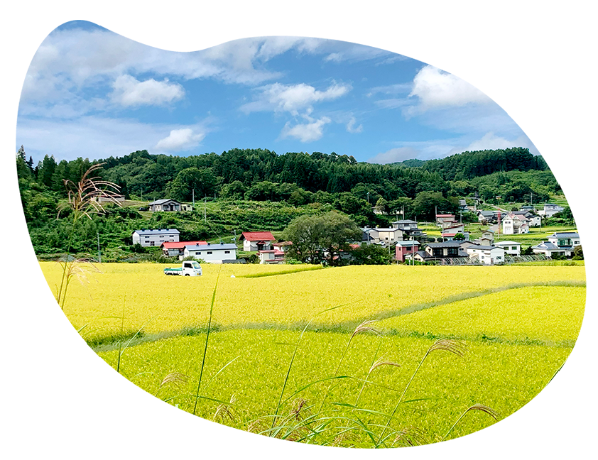おこめの家風景