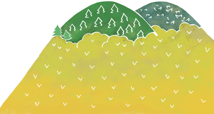 山