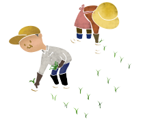 田植え